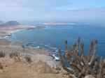 Parque Nacional Pan de Azucar - Antofagasta.  Antofagasta - CHILE