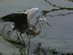 Reserva Natural Bandia, Dakar, Senegal. Informações, o que ver, como chegar lá.   - SENEGAL