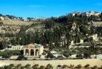 Monte das Oliveiras, Jerusalém. Israel Guia de atrações de Jerusalém.   - ISRAEL