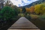 Parque Nacional Huerquehue, Guia de Parques Nacionais do Chile.  Pucon - CHILE