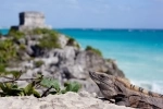 Tulum, informação geral. o que ver, o que fazer. Mexico.  Cancun - MXICO