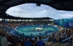 Miami Seaquarium. Guia de atrações de Miami. o que fazer, o que ver, informações.  Miami, FL - ESTADOS UNIDOS