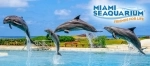 Miami Seaquarium. Guia de atrações de Miami. o que fazer, o que ver, informações.  Miami, FL - ESTADOS UNIDOS