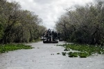 Everglades National Park, é um Patrimônio Mundial e está localizado no canto sudeste dos Estados Unidos, no estado da Flórida..  Miami, FL - ESTADOS UNIDOS