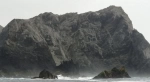 ilha Chañaral.  Punta de Choros - CHILE