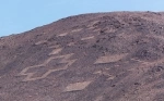Geoglifos de Pintados.  Iquique - CHILE