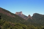 Parque Nacional e Floresta da Tijuca, Rio de Janeiro - Brasil.  Rio de Janeiro - BRASIL