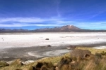 Monumento Natural Salar de Surire.  Putre - CHILE