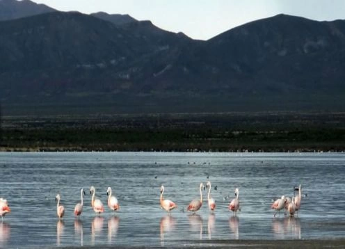 Monumento Natural Laguna de los Pozuelos, 