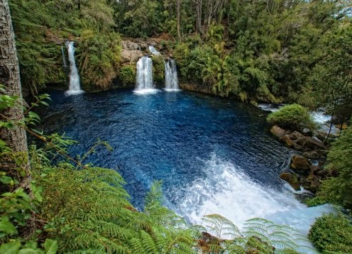 Rio Licura, Pucon