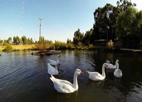 Jardim Botânico da Universidade de Talca, Talca