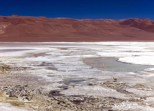 Salar de Pujsa, San Pedro de Atacama