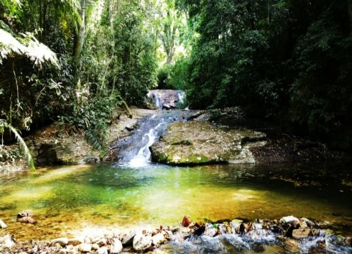 Parque Nacional e Floresta da Tijuca, 