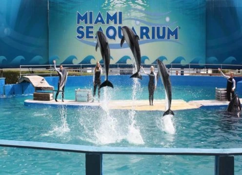 Miami Seaquarium, 