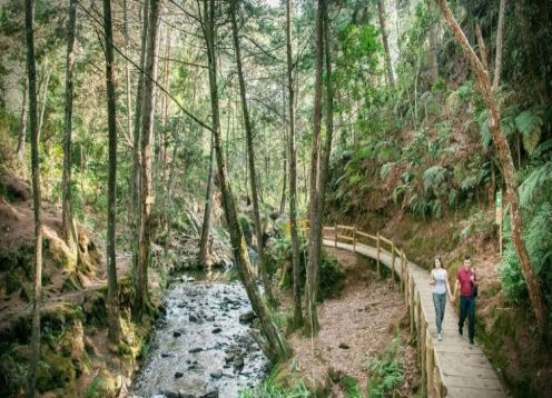 Parque de ecoturismo Arv, 