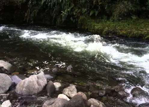 Rio Pescado , Puerto Varas