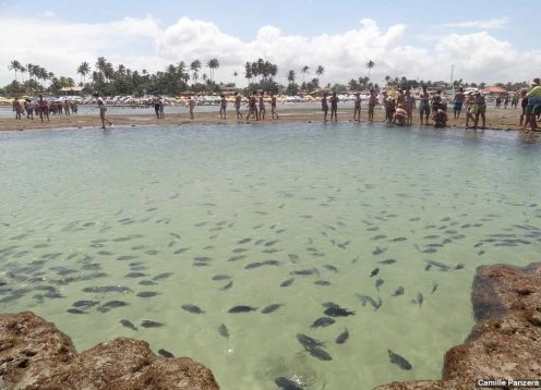 Praia da Vila, 