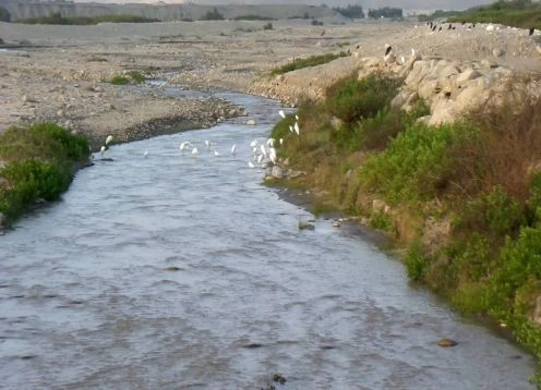 Rio Lluta, Arica