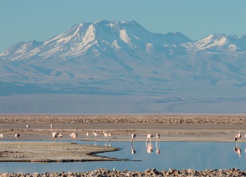 Lagoa Chaxa, San Pedro de Atacama