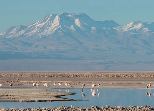 Lagoa Chaxa, San Pedro de Atacama