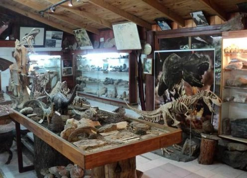 Museu de Geologia e Paleontologia Dr. Rosendo Pascual, 