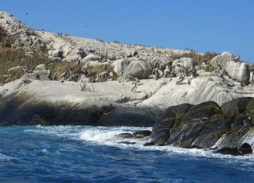 Monumento natural da Ilha da Cachagua, Cachagua