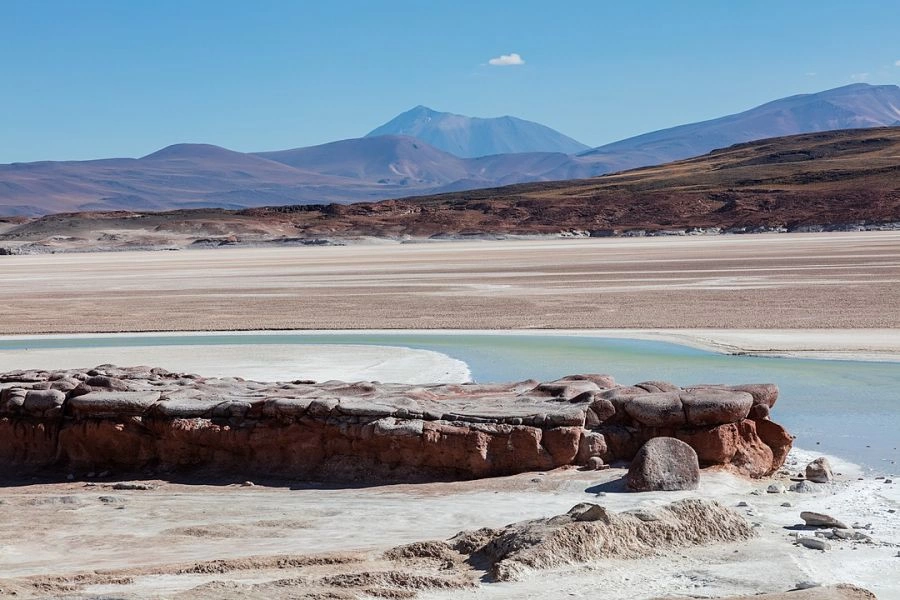 Reserva Nacional Los Flamencos, San Pedro de Atacama, Hot�is, Parques Nacionais San Pedro de Atacama, CHILE