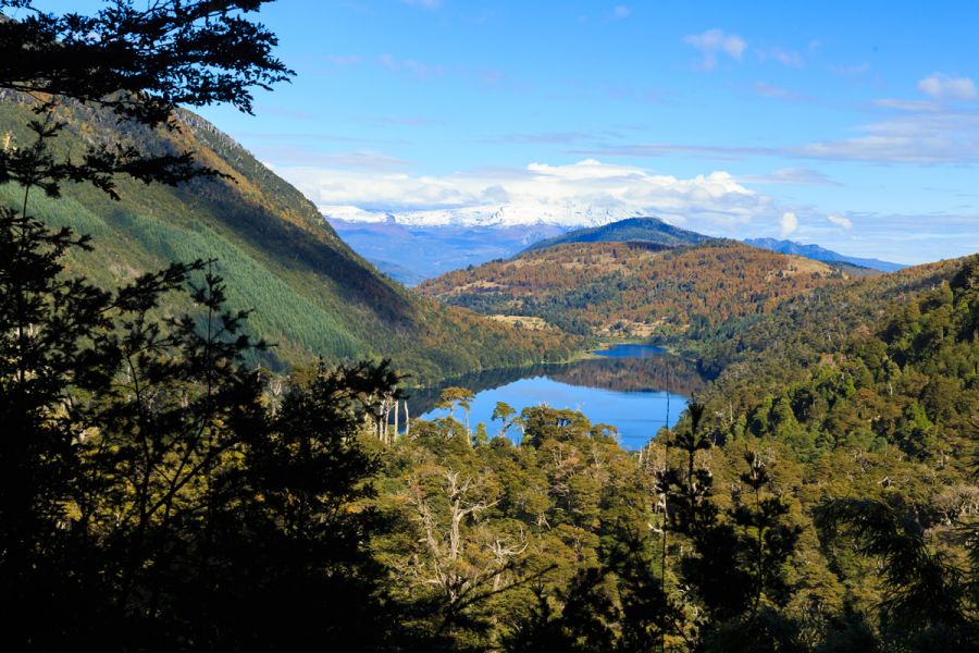 Parque Nacional Huerquehue, Guia de Parques Nacionais do Chile Pucon, CHILE