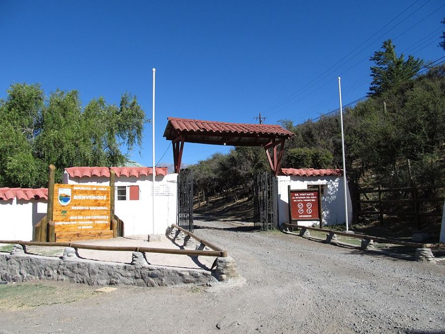 Reserva Nacional Rio dos Ciprestes Rancagua, CHILE