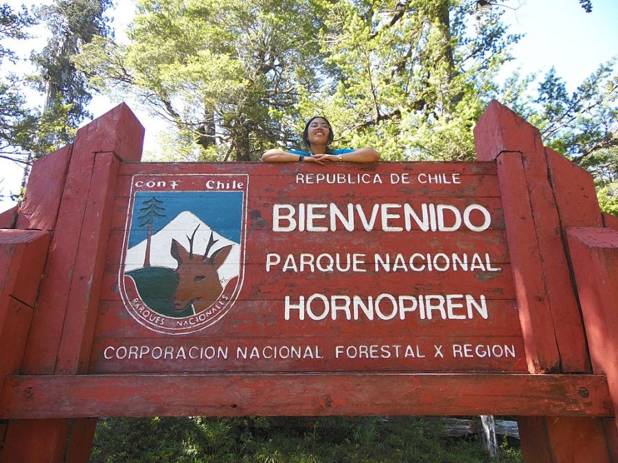 Parque Nacional Hornopiren Hornopirén, CHILE