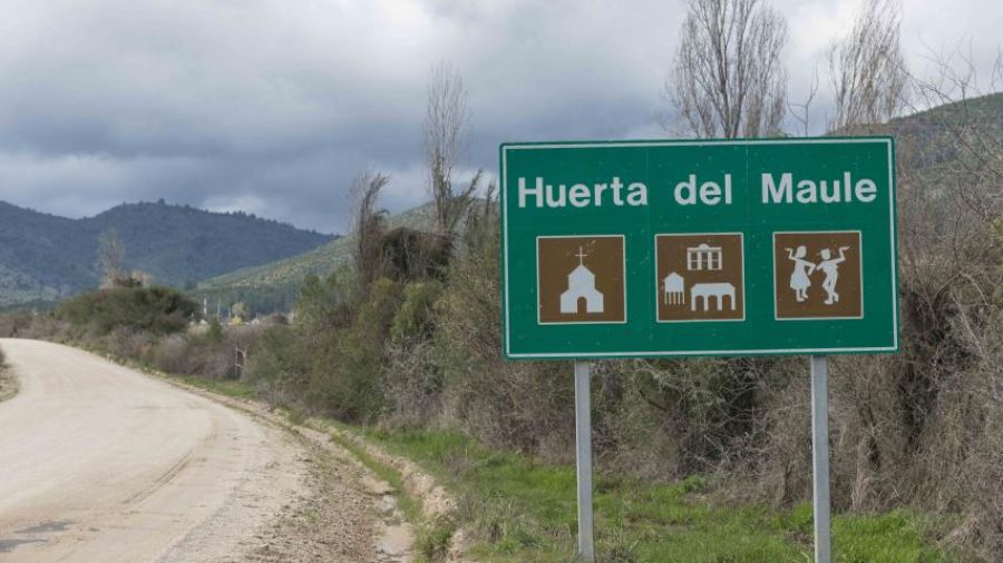 Huerta del Maule, San Javier Talca, CHILE