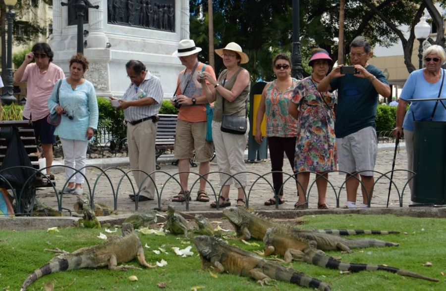 Parque Seminario tamb�m conhecido como o Parque das Iguanas, Guayaquil, Equador. o que ver, o que visitar , Equador