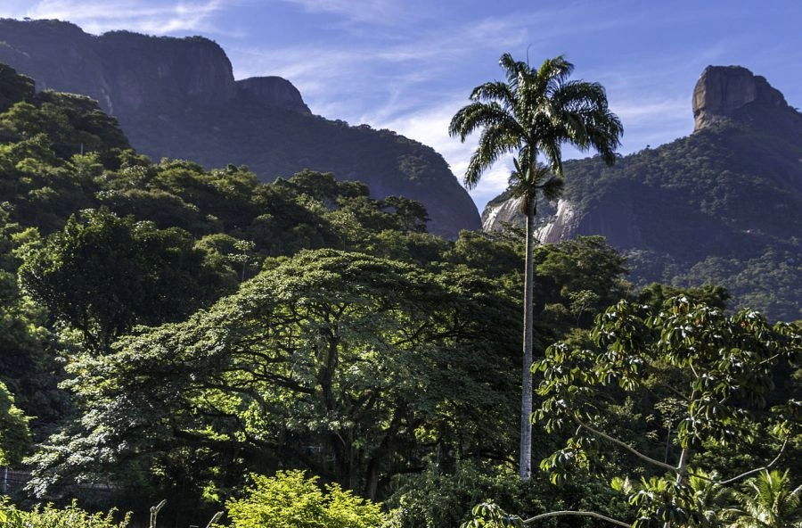 Parque Nacional e Floresta da Tijuca, Rio de Janeiro - Brasil Rio de Janeiro, BRASIL