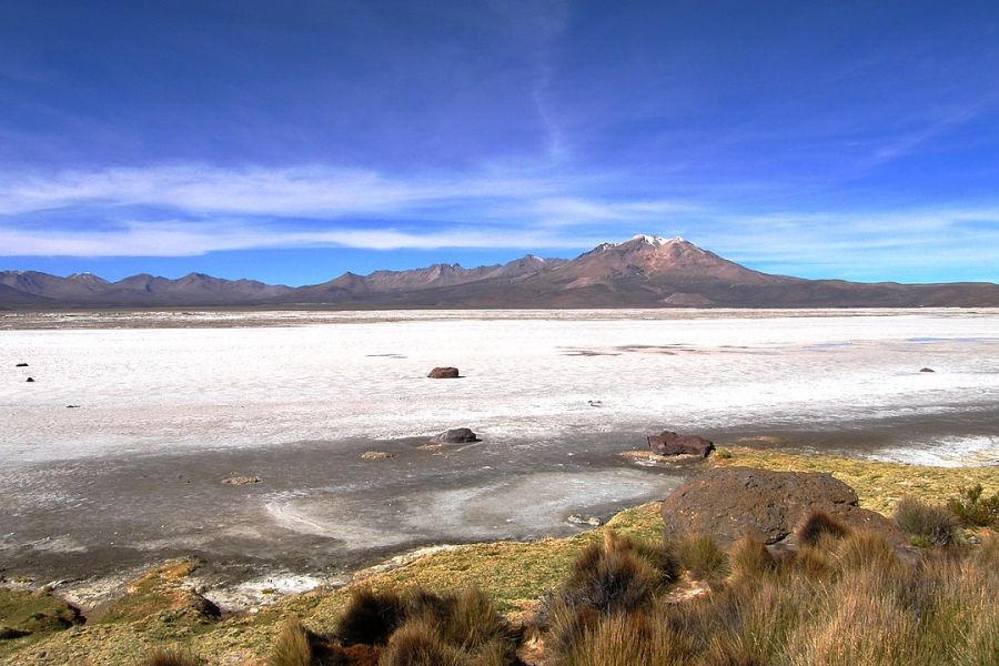 Monumento Natural Salar de Surire Putre, CHILE