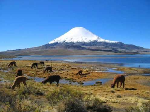 Parque Nacional Lauca