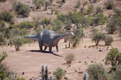 Monumento Natural Pichasca, Ovalle