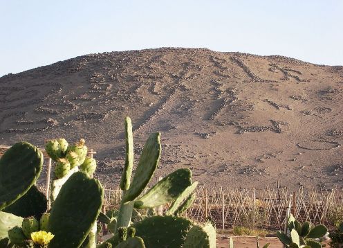 Vale de Azapa, Arica