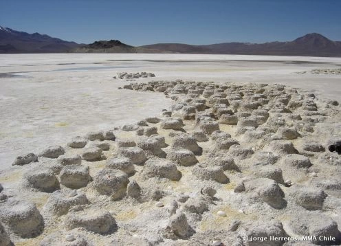 Monumento Natural Salar de Surire, Putre