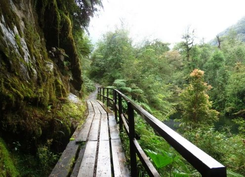 Parque Nacional Alerce Andino, Puerto Montt