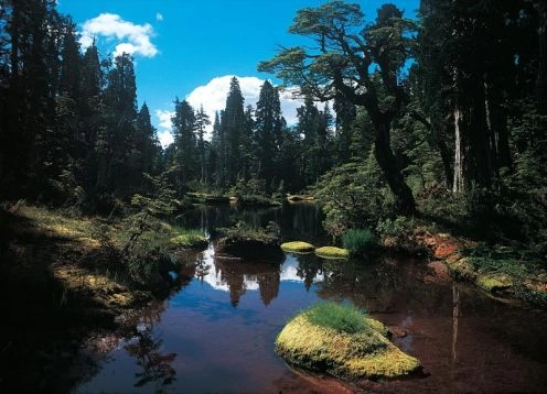 Parque Nacional Hornopiren, Hornopirn