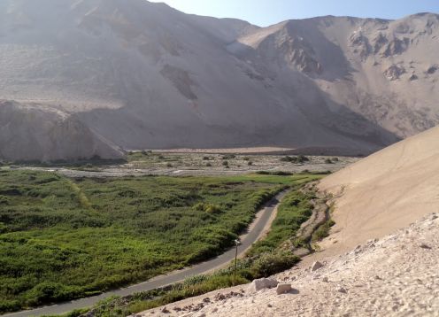 Lluta Vale em Arica, Arica