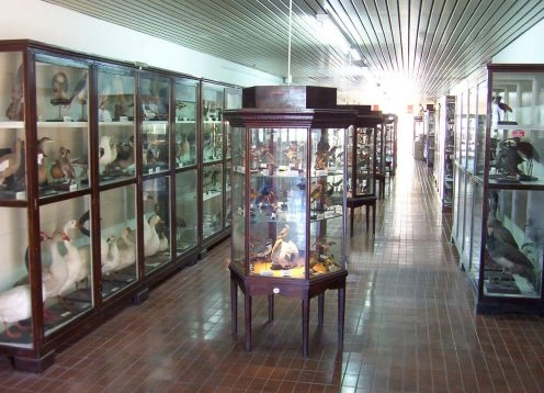 Museu de Ci�ncia Natural Domingo Faustino Sarmiento, 