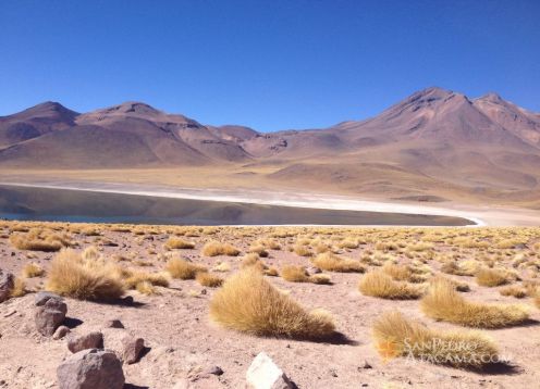 Lagoa Miscanti, San Pedro de Atacama