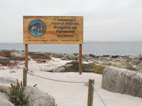 Reserva Nacional Humboldt Penguin, Punta de Choros