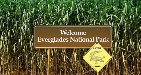 Parque Nacional Everglades