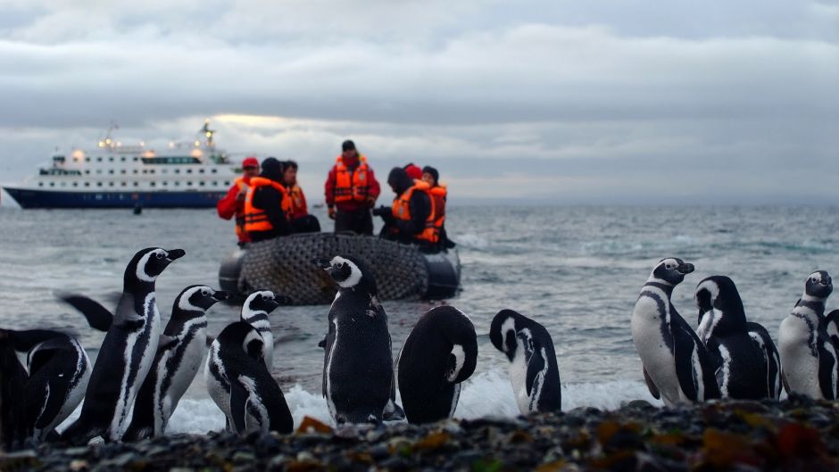 CRUZEIROS AUSTRALIS / PUNTA ARENAS - USHUAIA, , 