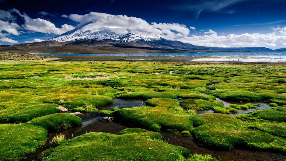 ARICA  - PUTRE -  PARQUE NACIONAL LAUCA -  LAGO CHUNGARA, , 