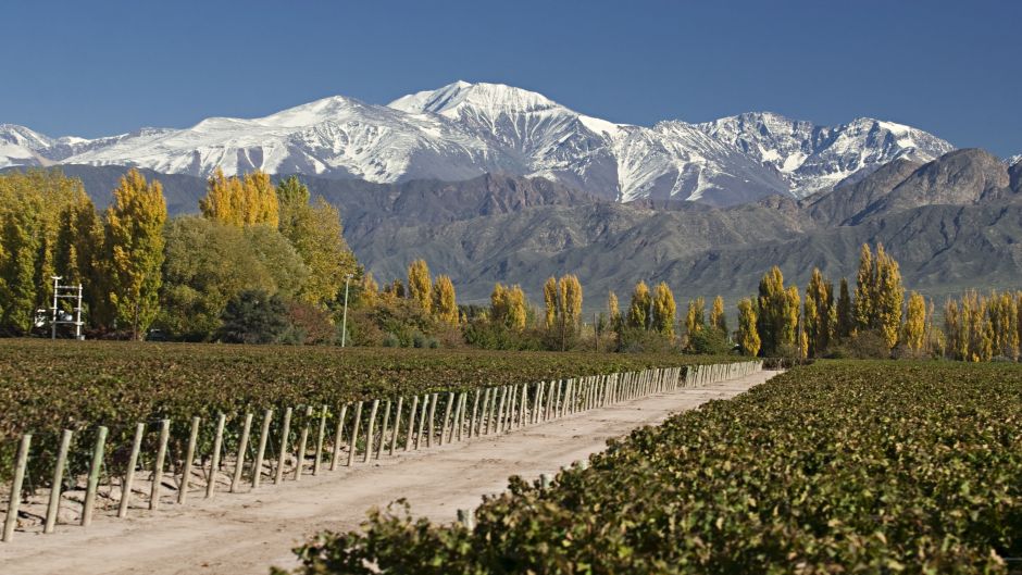 ESPECIAL DE MENDOZA, , 