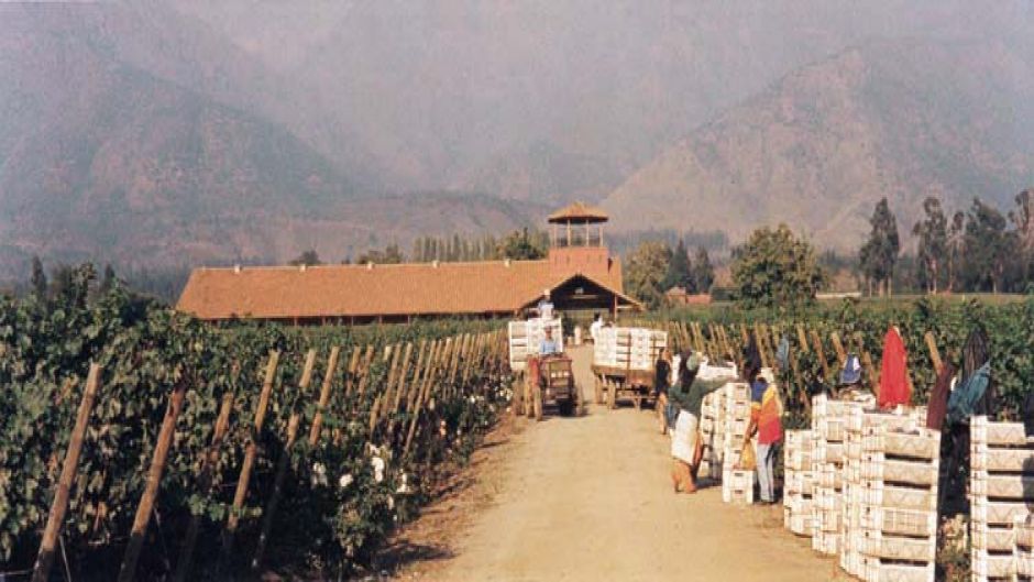 ROTA DO VINHO - VALE DE MAIPO. CHILE, , 