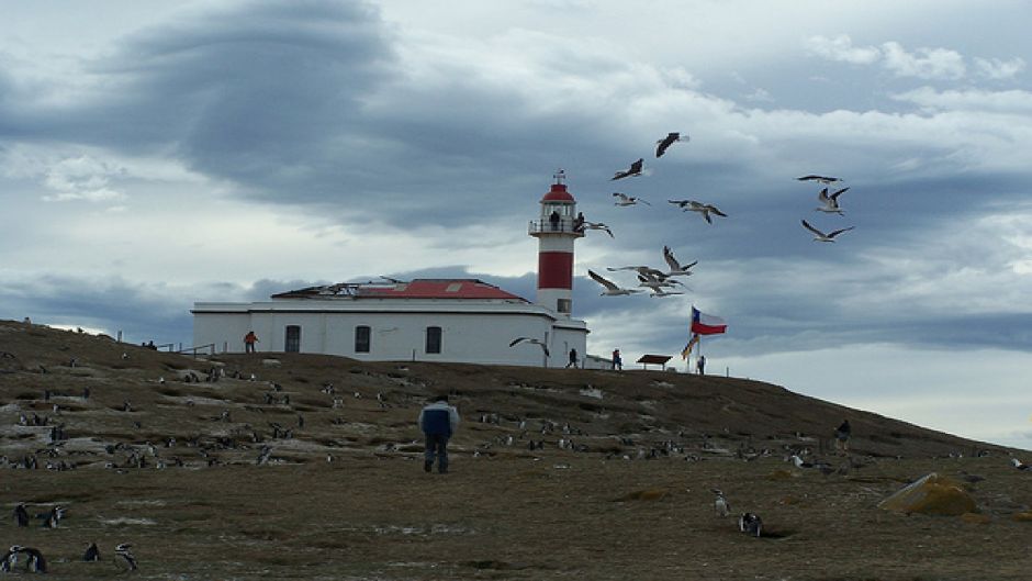 PUNTA ARENAS E PINGüIM, , 